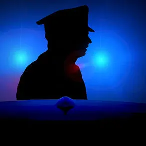 THE POLICING OF PATRIOTISM