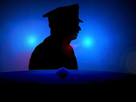 THE POLICING OF PATRIOTISM