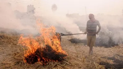 PARALI, POLLUTION AND PUNISHMENT: POSITION OF INDIAN FARMERS IN THE LIGHT OF ARTICLE 14