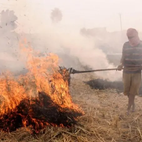 PARALI, POLLUTION AND PUNISHMENT: POSITION OF INDIAN FARMERS IN THE LIGHT OF ARTICLE 14