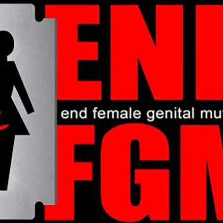 WILL CRIMINALISATION OF FEMALE GENITAL MUTILATION IN SUDAN BE ENOUGH FOR ERADICATING THE PRACTICE?