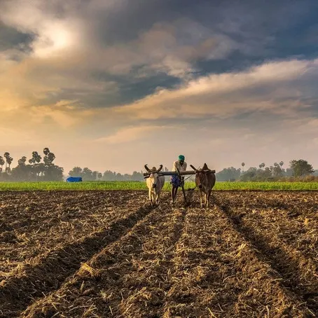 AGRICULTURAL REFORMS IN INDIA: SHALLOW MEASURES AND HOLLOW PROMISES